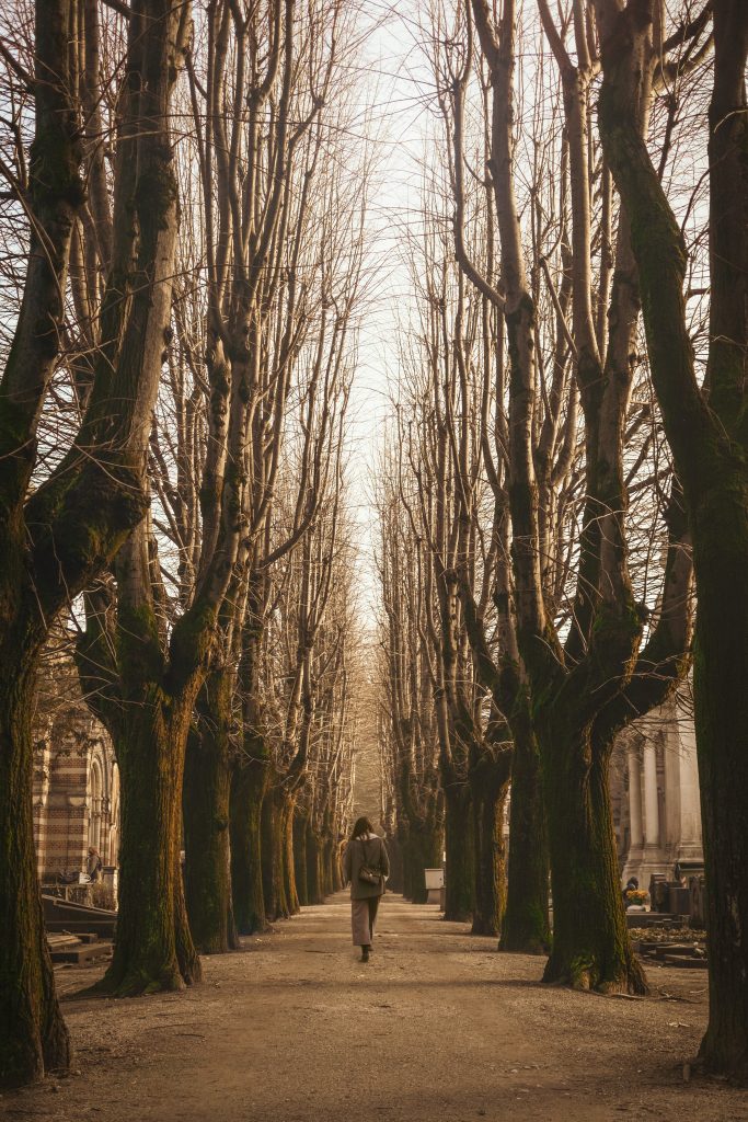 a woman walking near bear trees during daytime